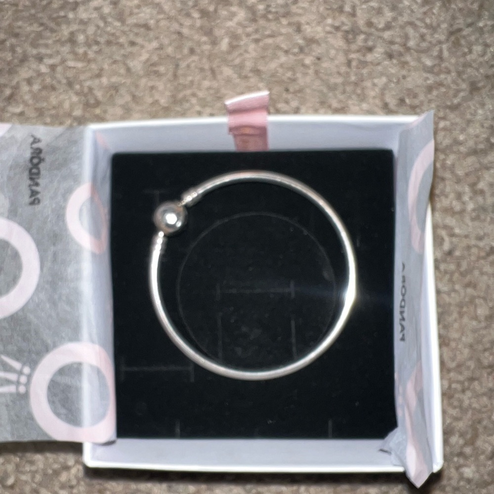 I Bought It And It Doesn't Fit Original Pandora - image 1